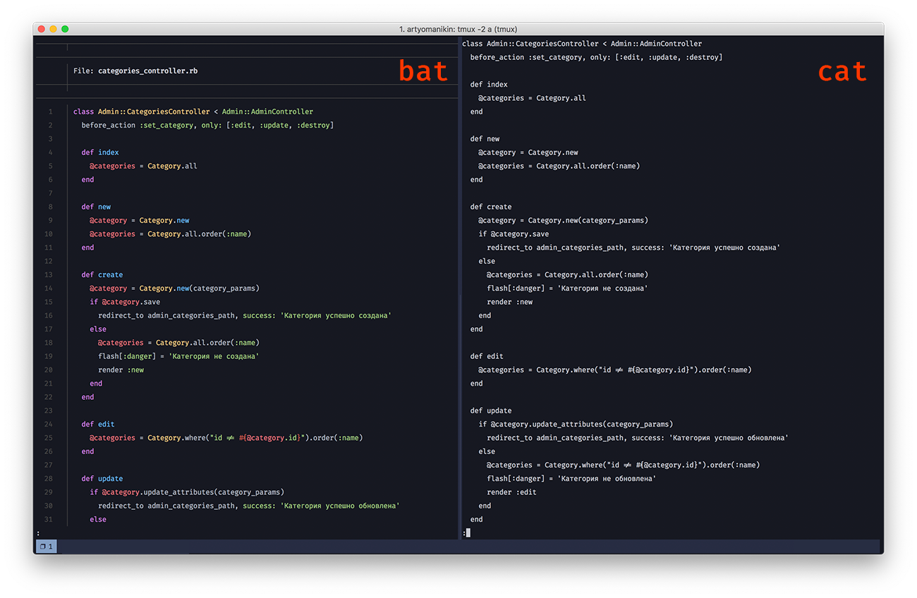 Bat and Cat comparison